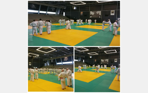 627a1ac1dec98_judo.jpg